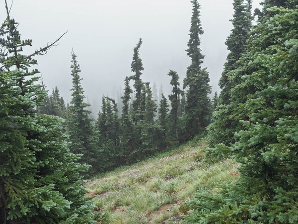 Fog in Subalpine-Frozen Lake - Sunrise Loop-Mount Rainier-3655.jpg