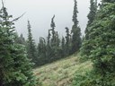 Fog in Subalpine-Frozen Lake - Sunrise Loop-Mount Rainier-3655.jpg