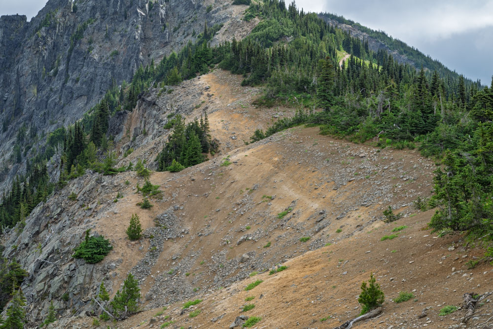 Layer of Ash and Pyroclastic Flow-Sourdough Ridge-Mt Rainier NP-0047.jpg