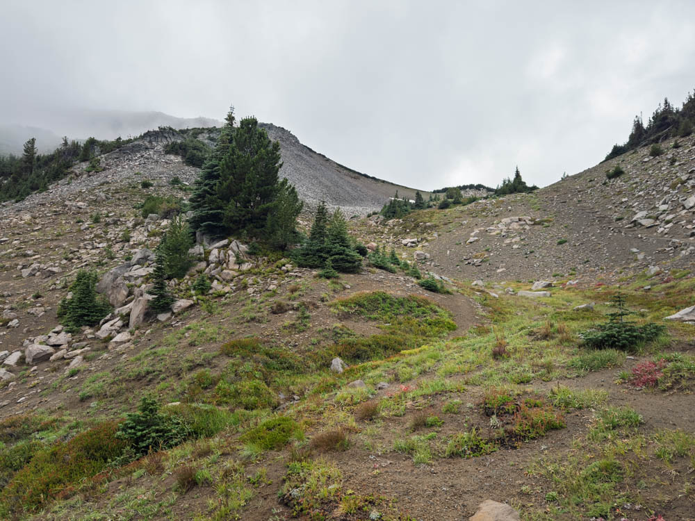 Looking back up toward Frozen Lake-Frozen Lake - Sunrise Loop-Mount Rainier-3845.jpg