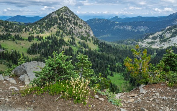 McNeeley Peak-Sourdough Ridge-Mt Rainier NP-0053.jpg