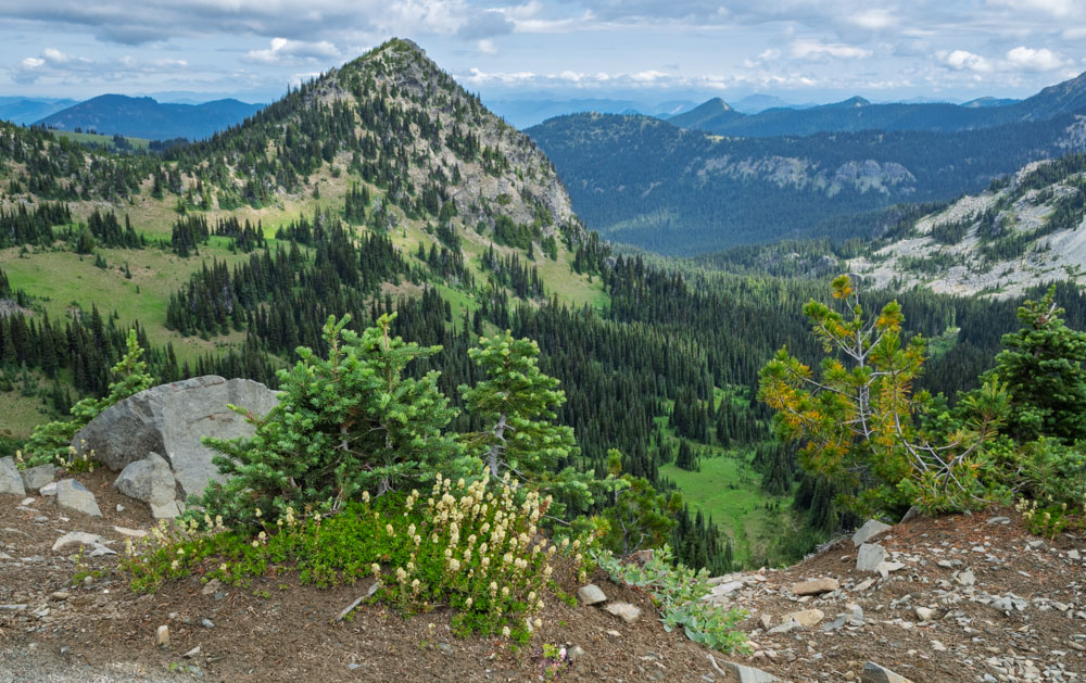 McNeeley Peak-Sourdough Ridge-Mt Rainier NP-0053.jpg