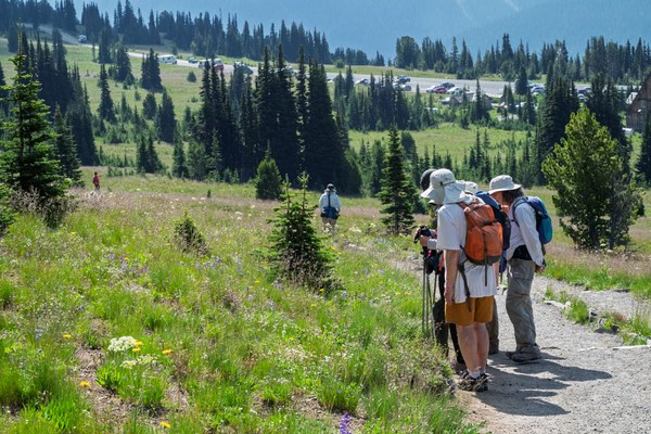Studying Flowers--Mt Rainier NP-0059.jpg