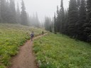 Subalpine Meadow along Surnise Trail-Frozen Lake - Sunrise Loop-Mount Rainier-3937.jpg