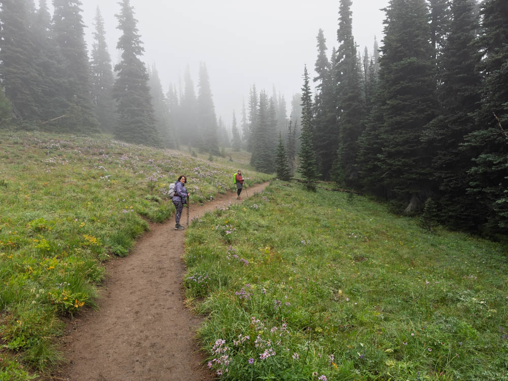 Subalpine Meadow along Surnise Trail-Frozen Lake - Sunrise Loop-Mount Rainier-3937.jpg