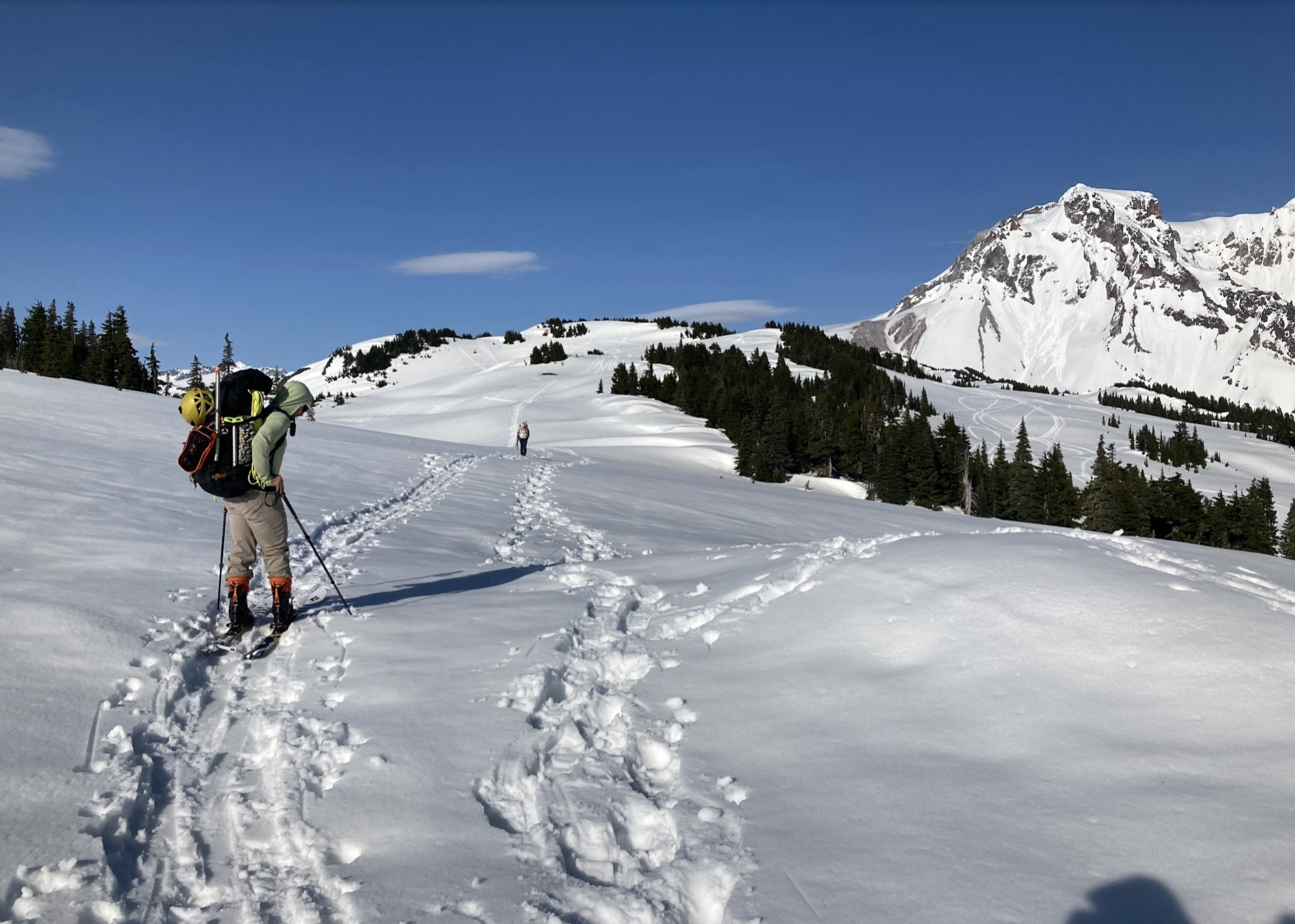 Screenshot 2025-05-26 at 11.15.08 AM.png