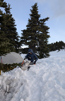 Screenshot 2025-05-26 at 11.17.27 AM.png