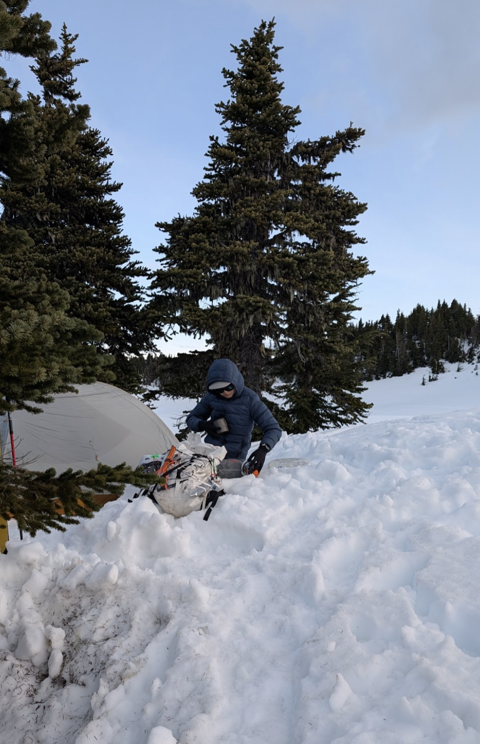 Screenshot 2025-05-26 at 11.17.27 AM.png