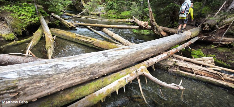 Mildred Lakes Trail Log Crossing.jpg