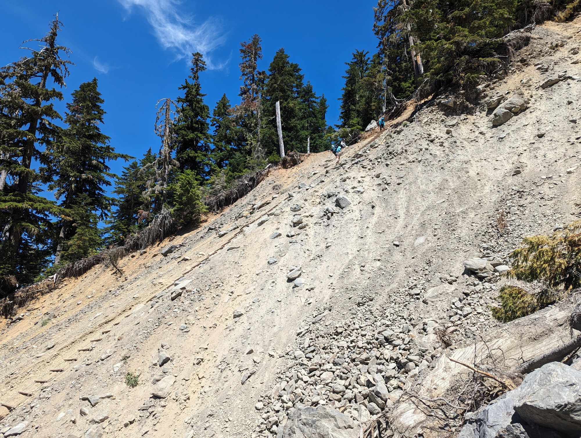 PXL_20230715_195040605 (1).jpg