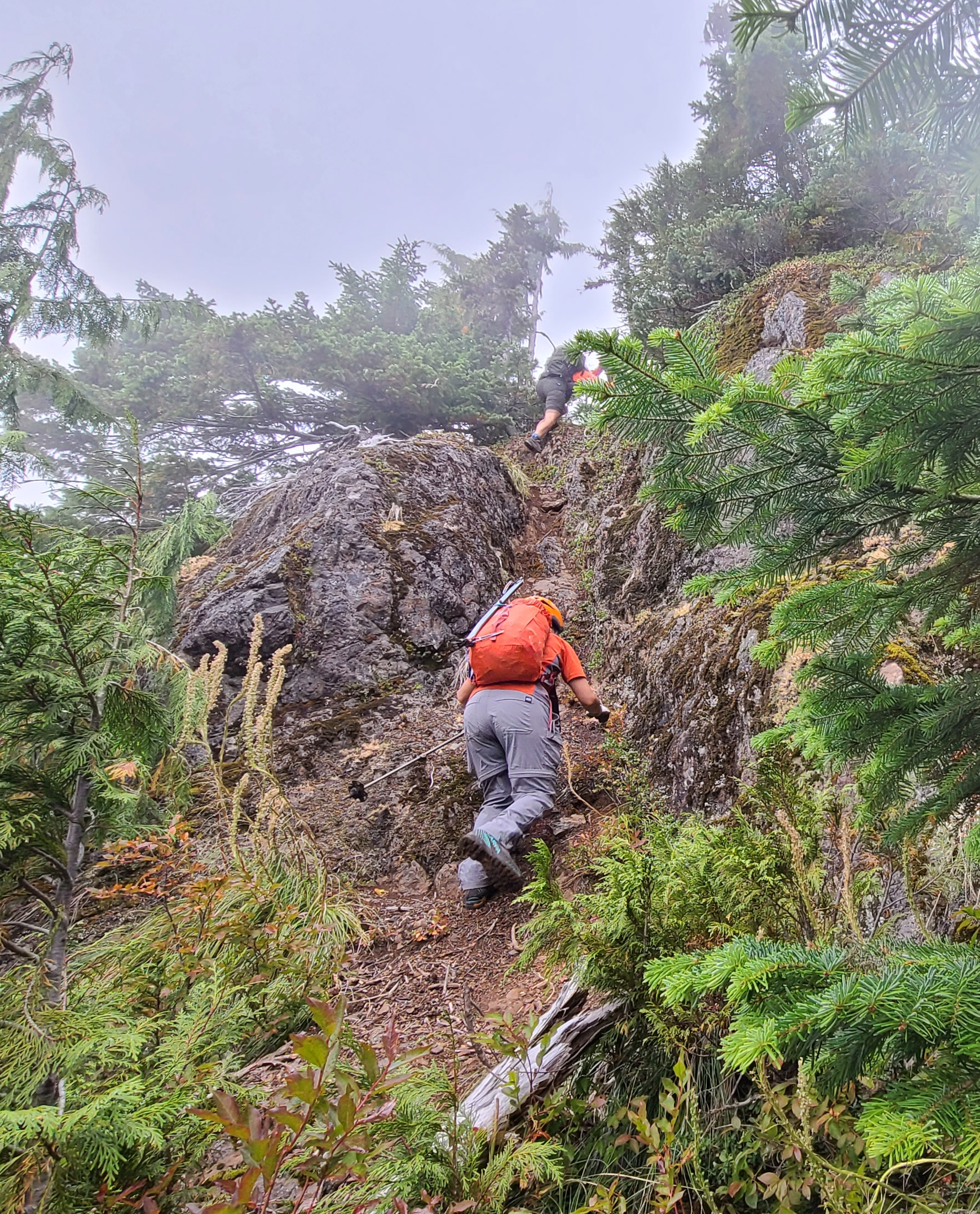 51396419026_e6545d698c_o (1).jpg