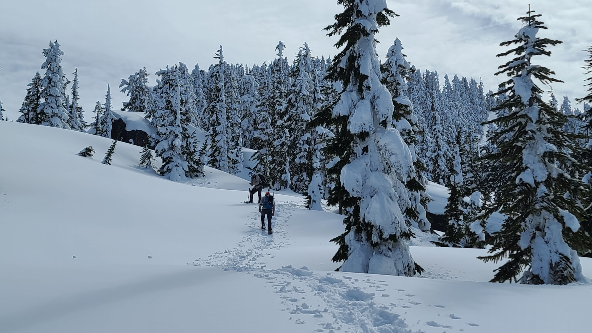 51009484225_f03d87eb30_o (1).jpg