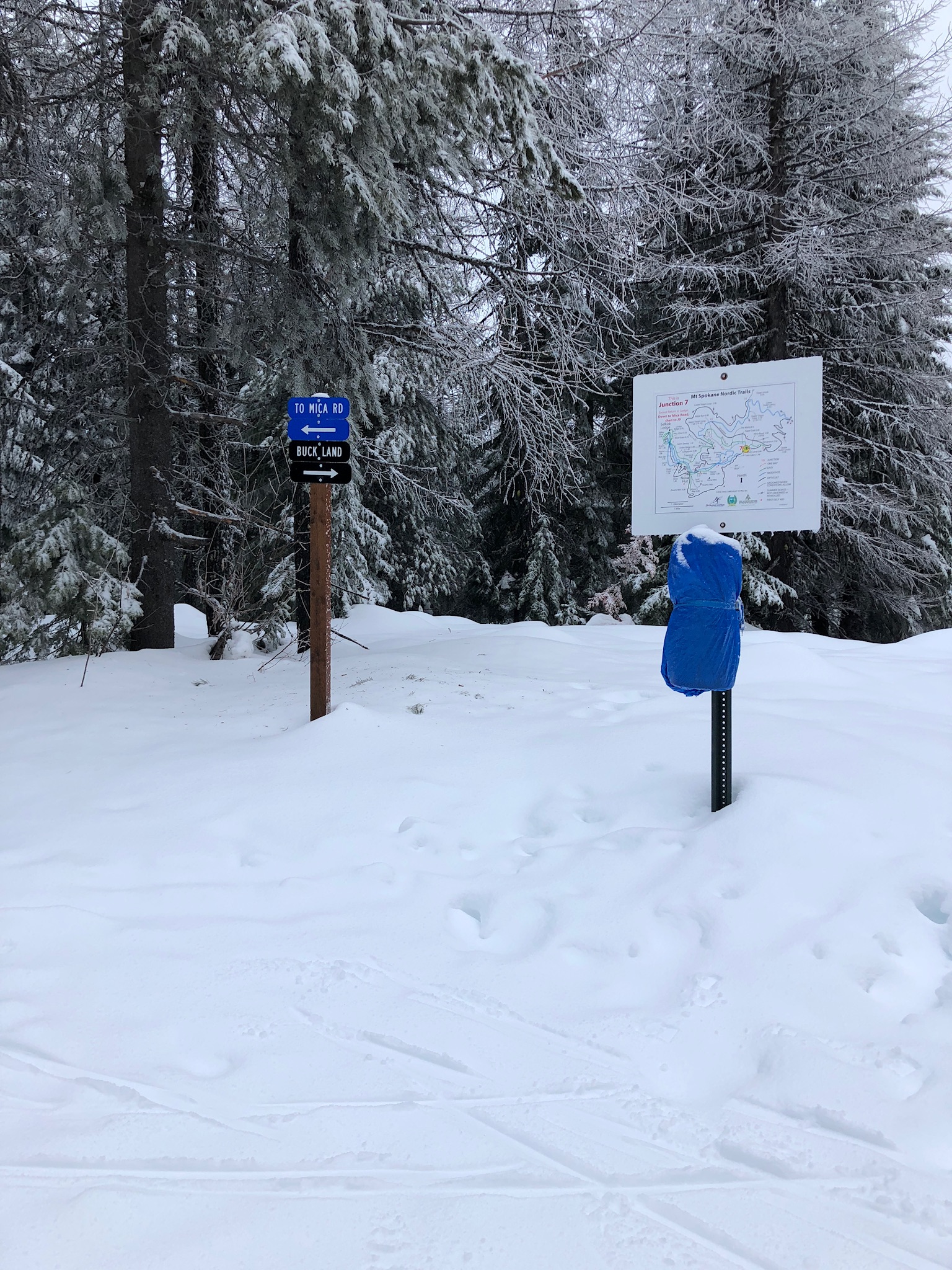 emergency tarp copy.jpg