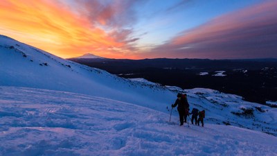 Mount St. Helens/Worm Flows