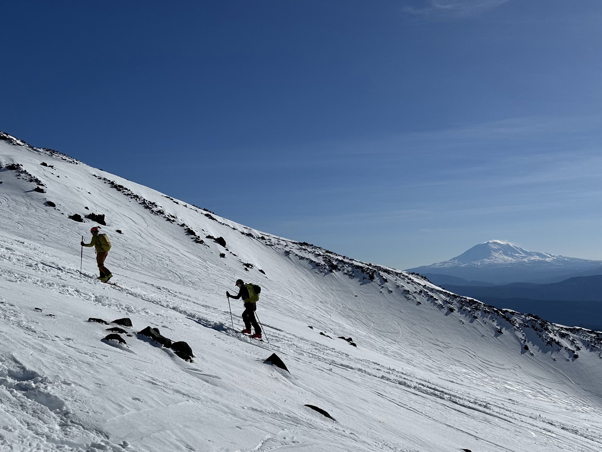 paul and pawel skinning.jpg