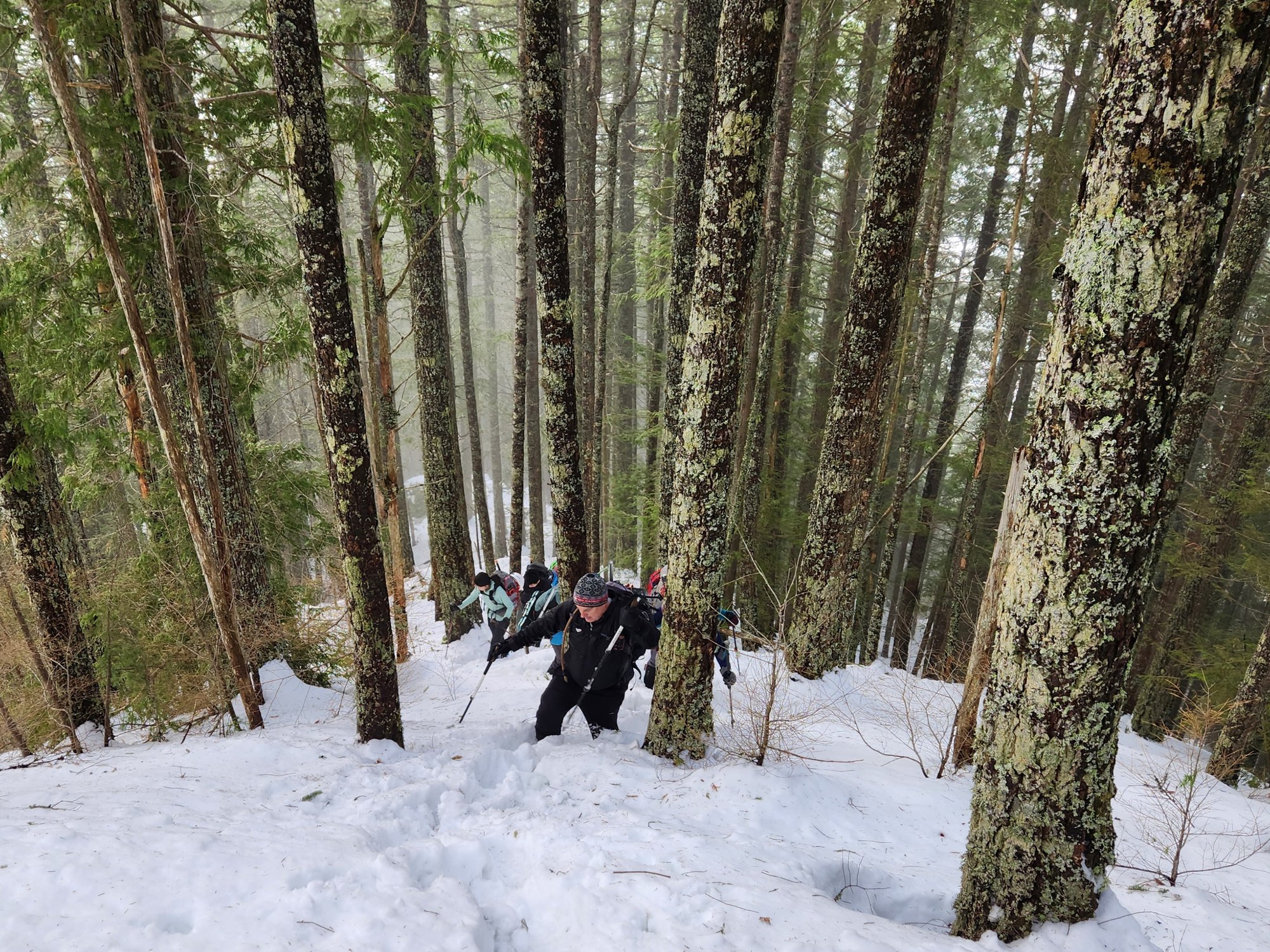 20221211_113512_crop (1).jpg