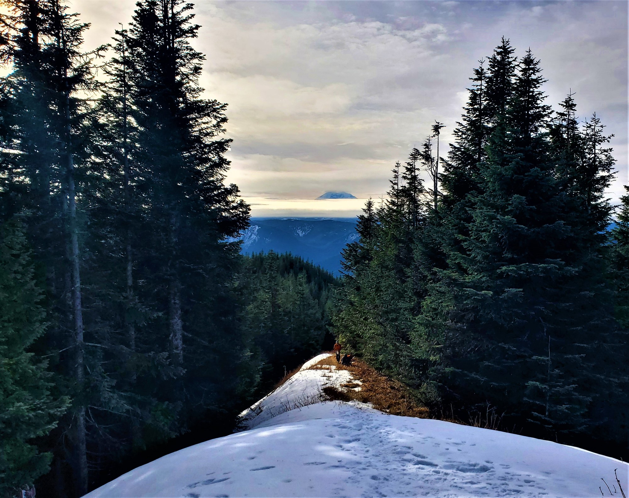 2021-01-20 10.33.11.jpg