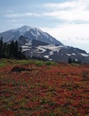 Around Mother Mountain