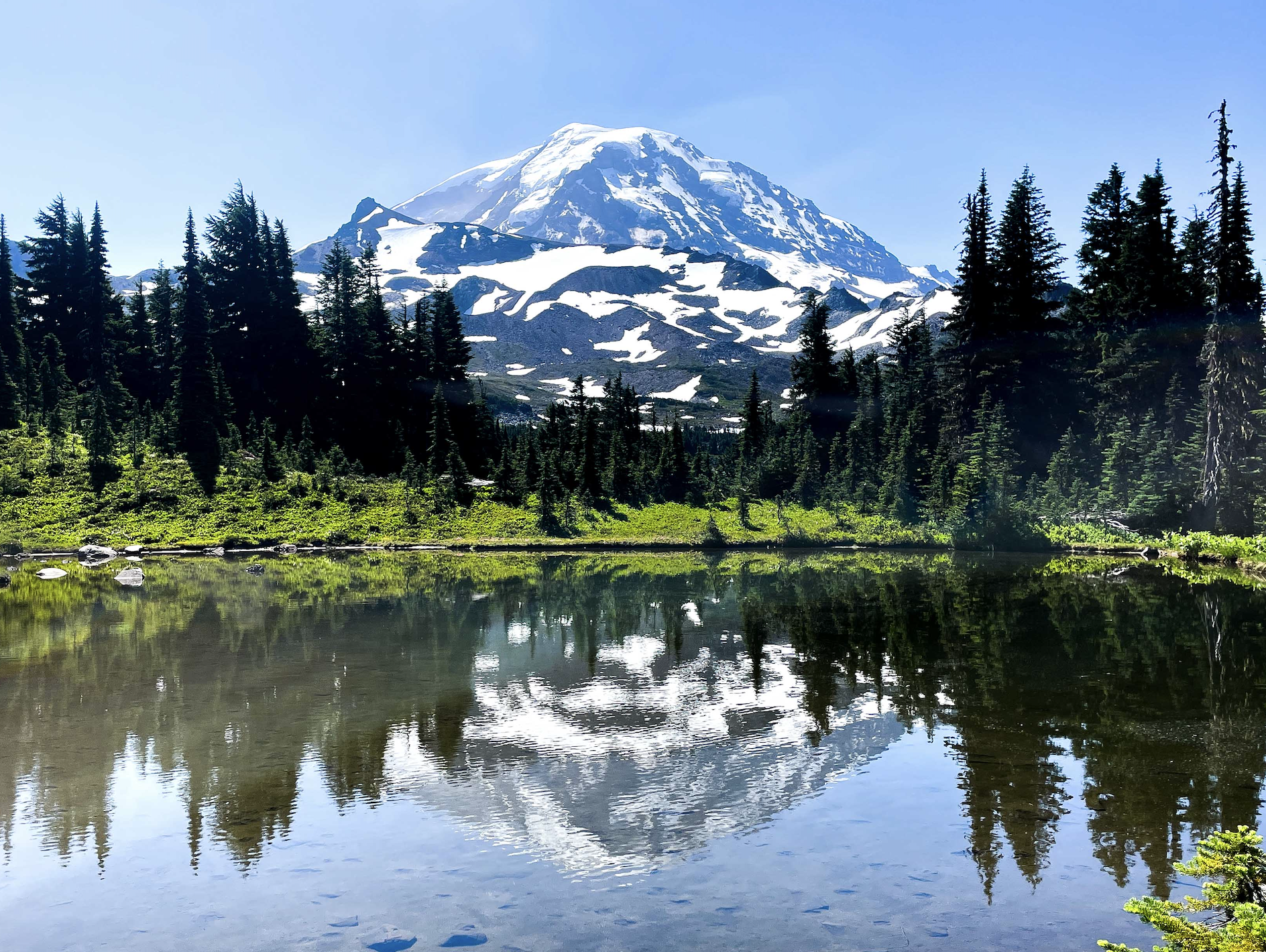 Screenshot 2024-07-23 at 11.50.53 AM.png