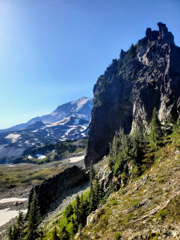 20210809_091253 360x480.jpg