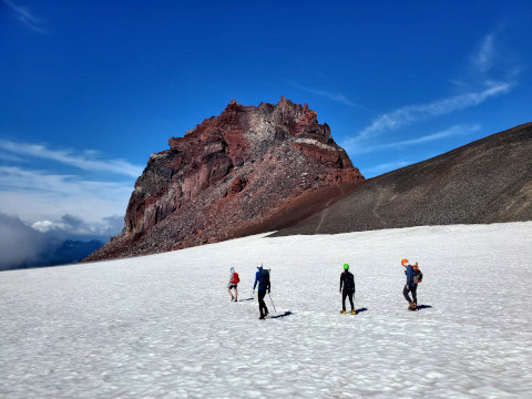 20210809_154720 480x360.jpg