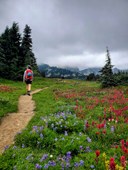 20210809_171234 360x480.jpg