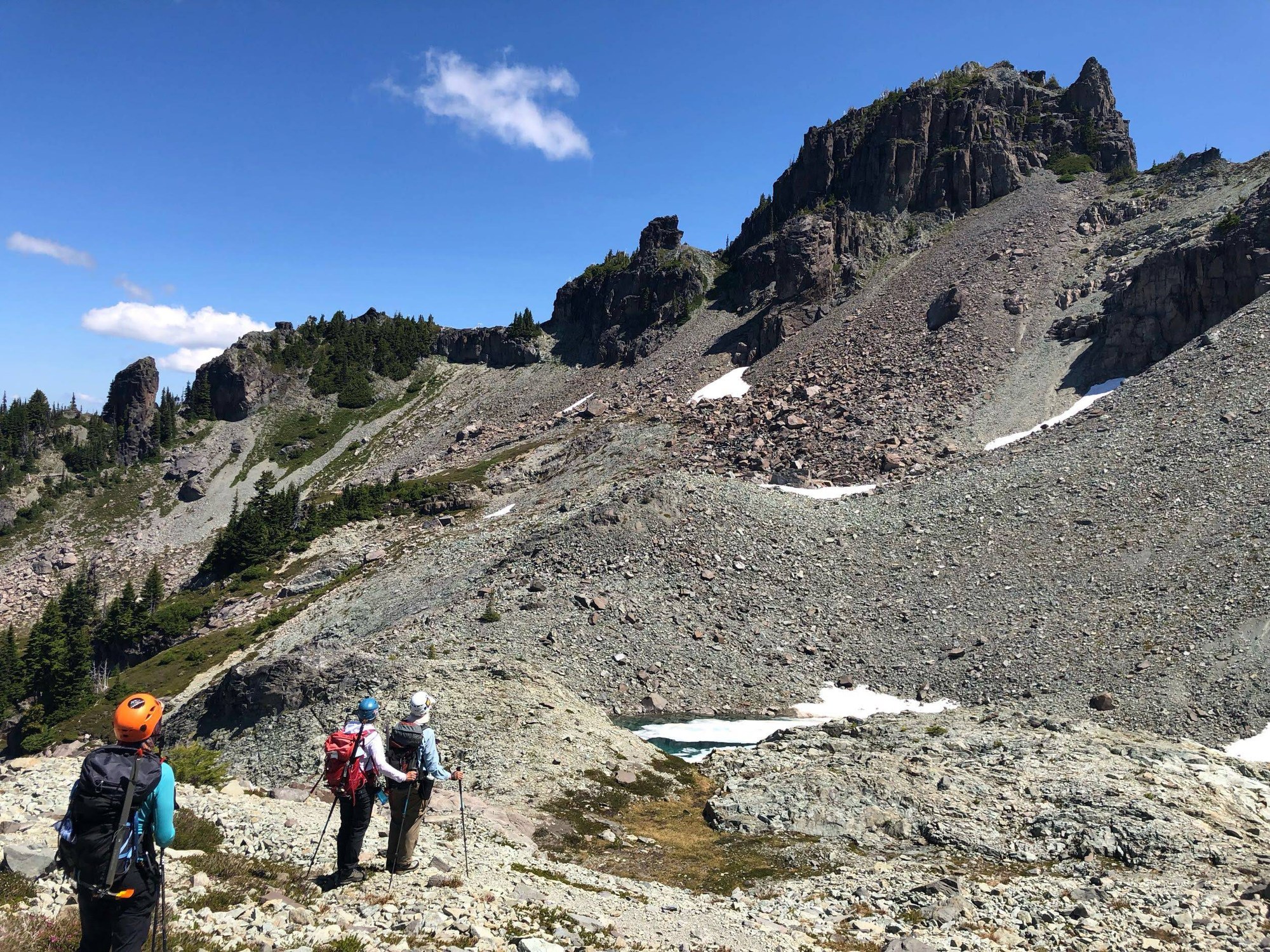 Resized_IMG_4118001_5328 (1).jpeg