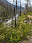 PXL_20250525_225702587 (1).jpg