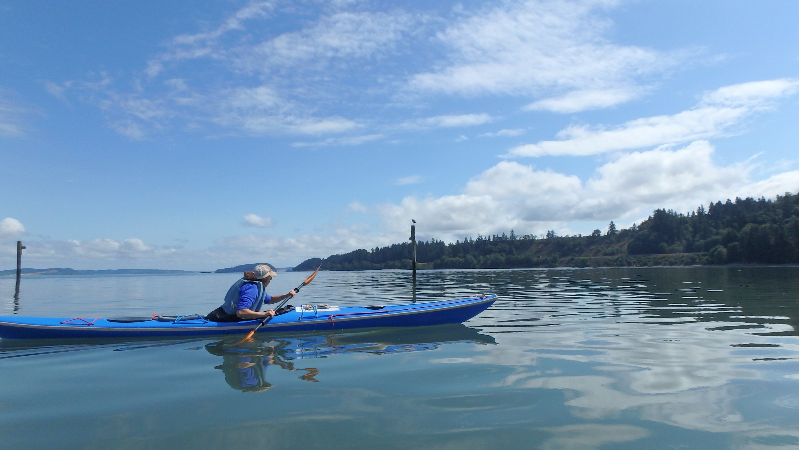 lite Deb and cormorant.jpg