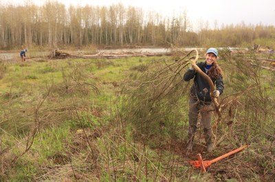 Nisqually Land Trust