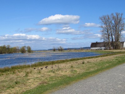 Nisqually National Wildlife Refuge