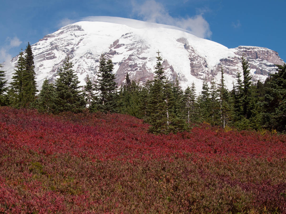 3 Paradise Fall Colors.jpg