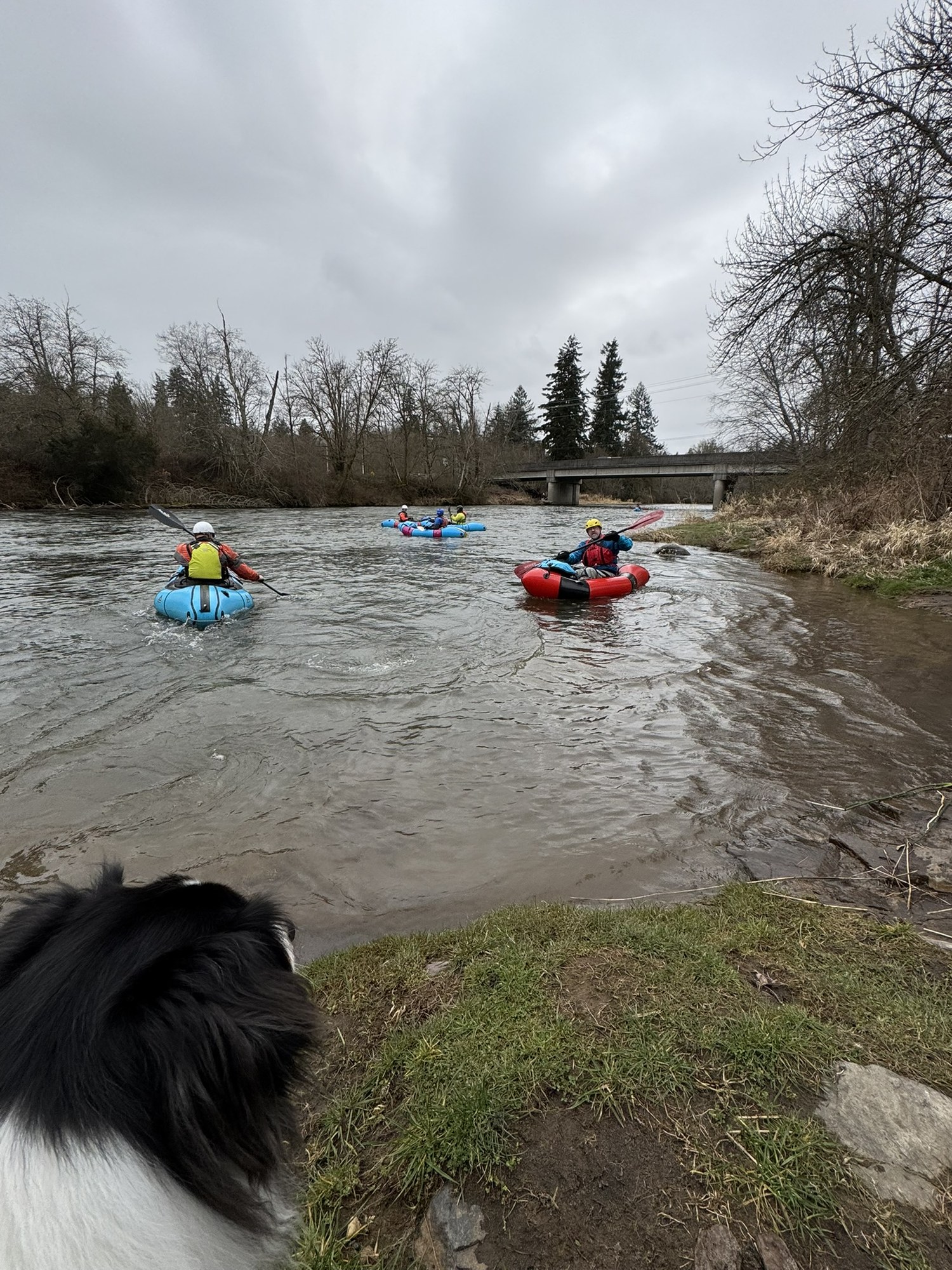 Mountaineers Packraft Trip Nisqually River March 2 2025.JPEG