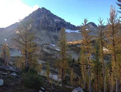 Black Peak/Northeast Ridge