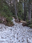 PXL_20230519_131617228 (1).jpg