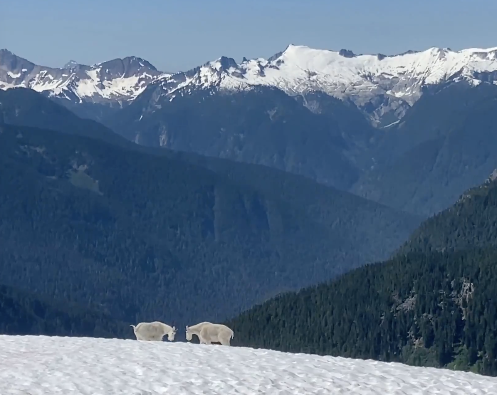 Screenshot 2024-07-14 at 9.57.18 PM.png