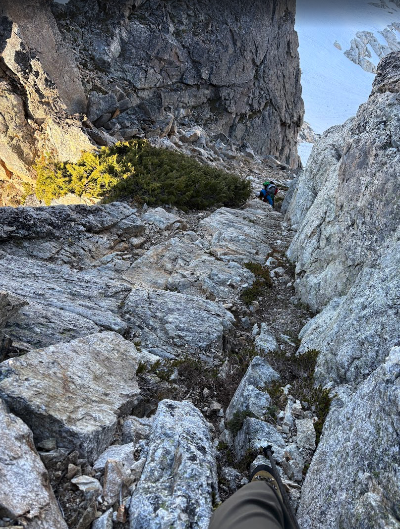 Screenshot 2025-07-01 at 11.57.59 AM.png