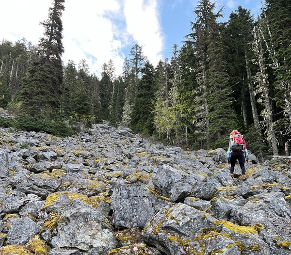ascending the mossy talus field