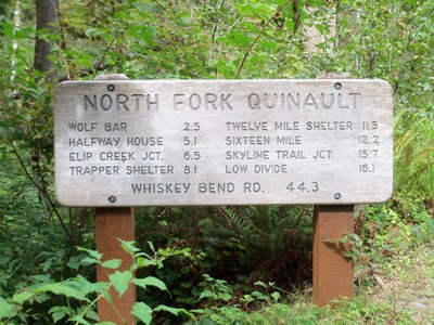 North Fork Quinault River