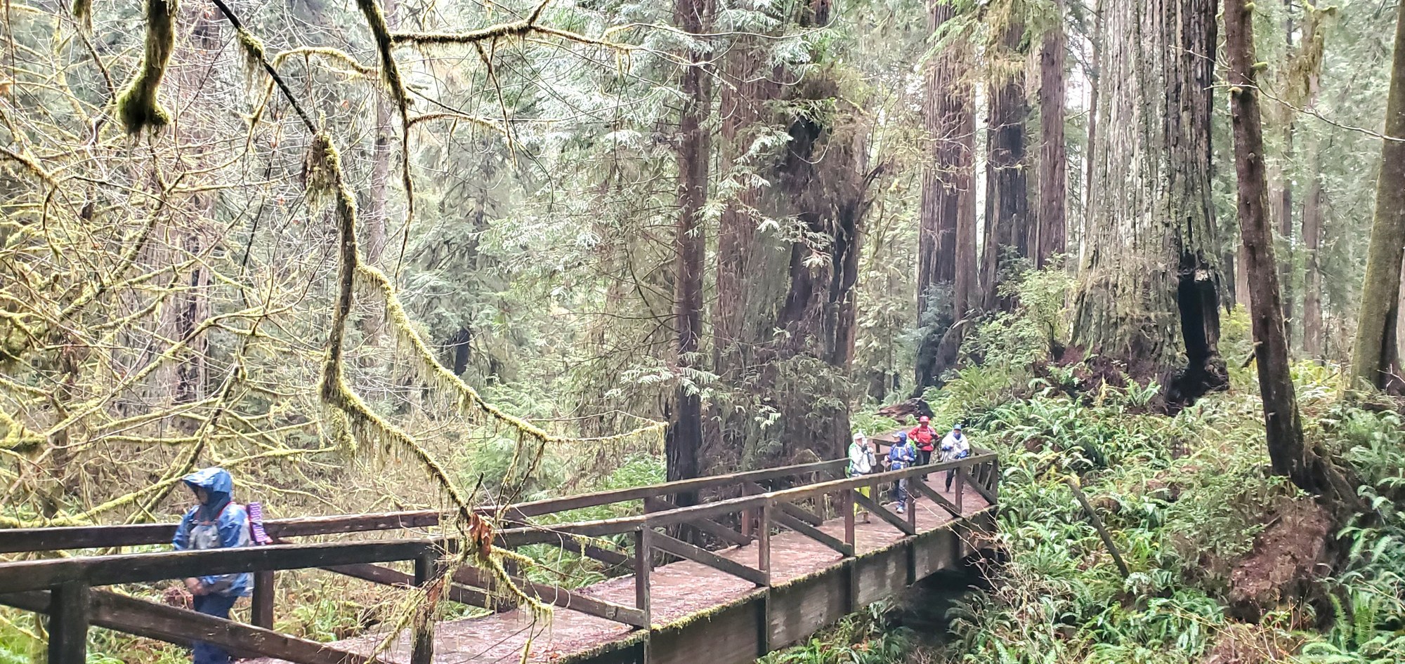 2025-03-27 13.11.04.jpg