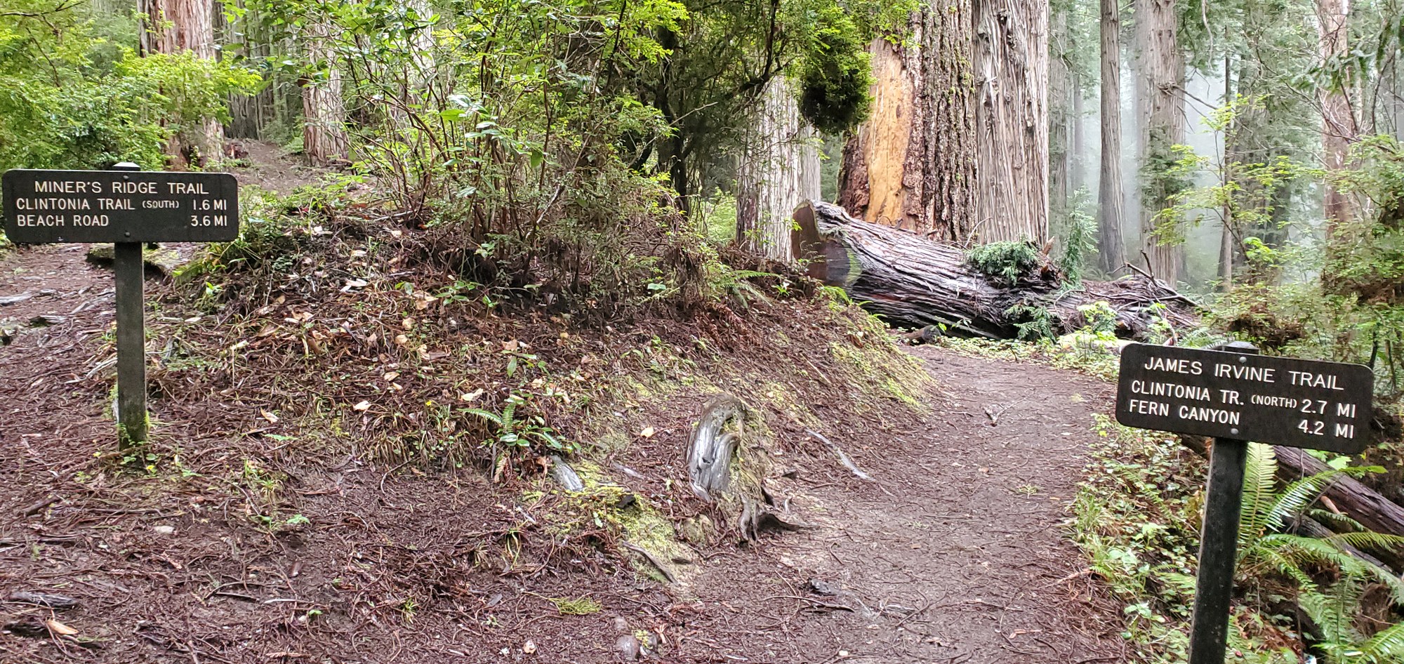 2025-03-27 13.28.04.jpg