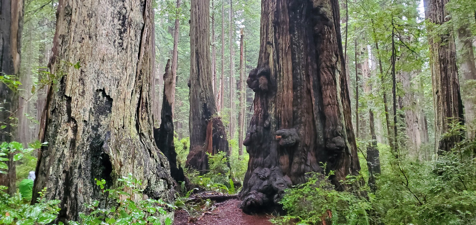 2025-03-27 14.04.10.jpg