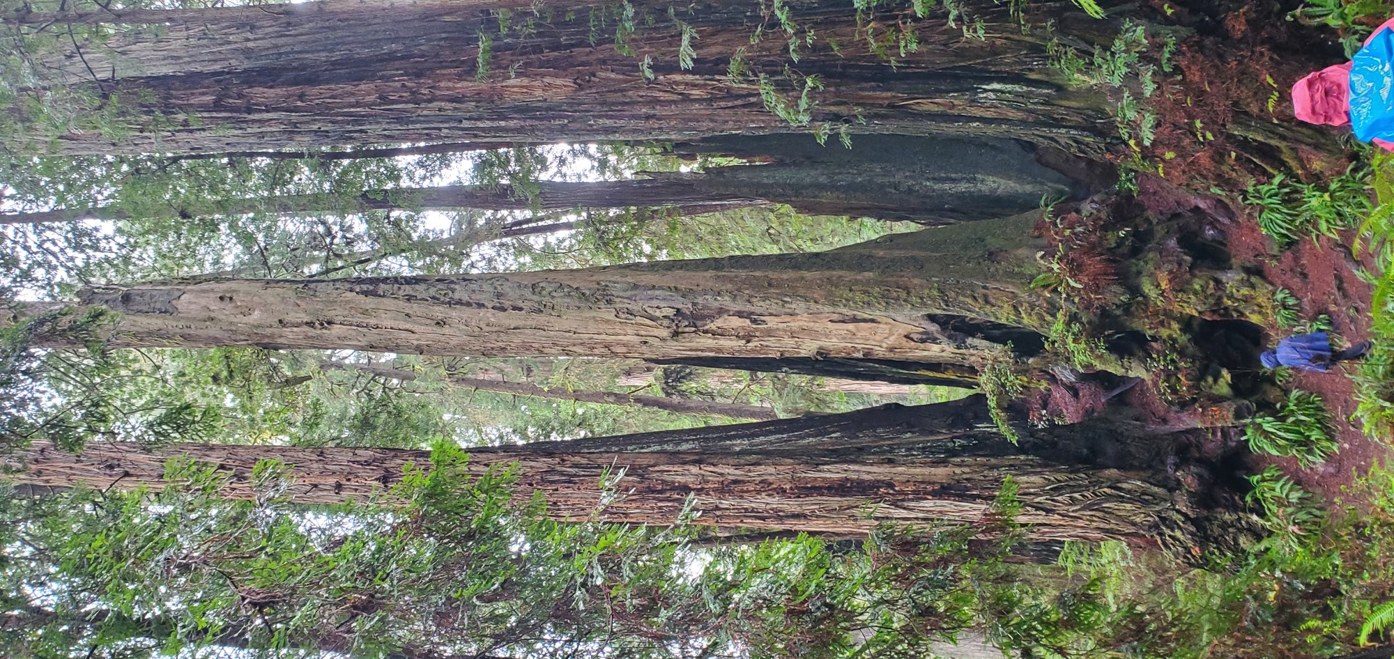 2025-03-27 15.39.57.jpg