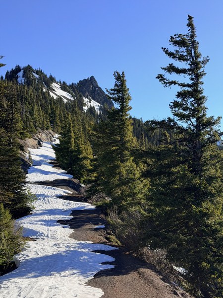 IMG_0463.jpeg IMG_0463.jpeg