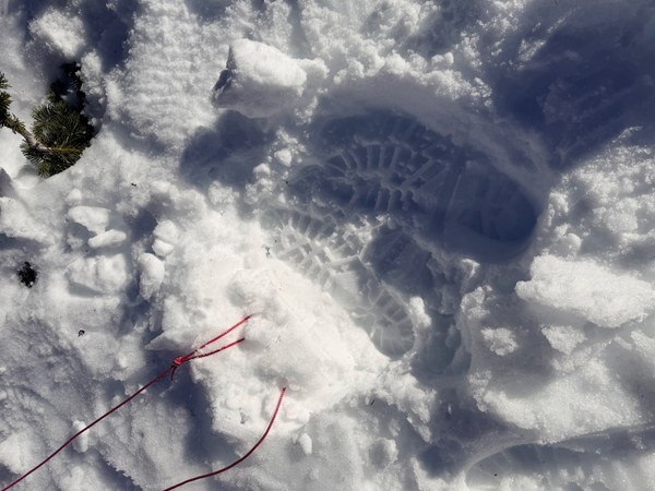 IMG_0492.jpeg IMG_0492.jpeg