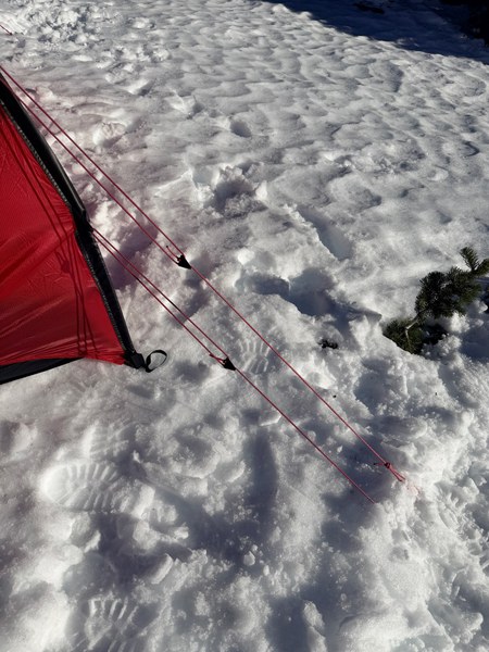 IMG_0493.jpeg IMG_0493.jpeg