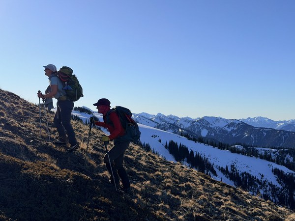 IMG_0722.jpeg IMG_0722.jpeg