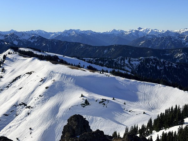 IMG_0747.jpeg IMG_0747.jpeg