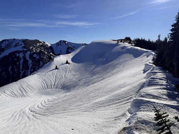 IMG_0792.jpeg IMG_0792.jpeg