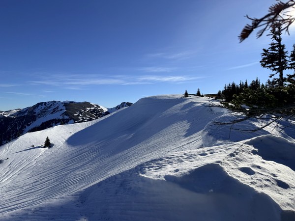 IMG_0804.jpeg IMG_0804.jpeg